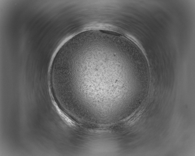 X0000057101152200509121001