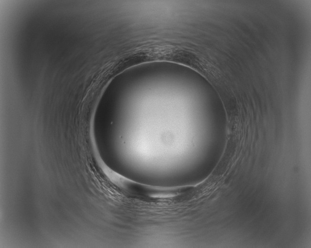 X0000057101153200509121000