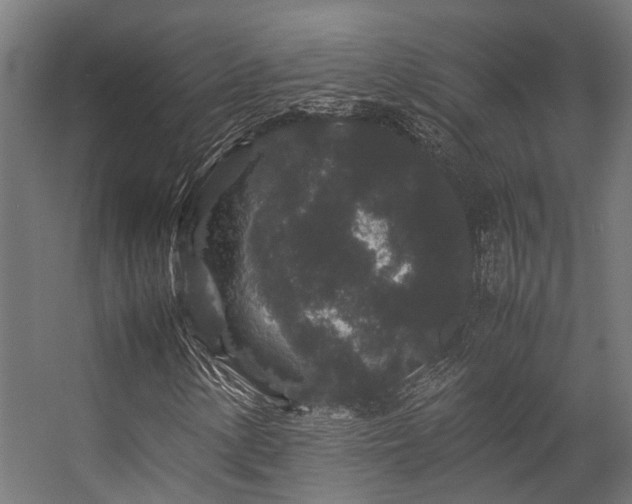 X0000057101154200509121000