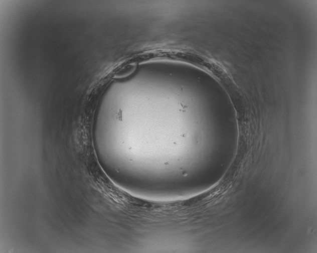 X0000057101159200509121000