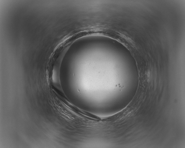 X0000057101160200509121000