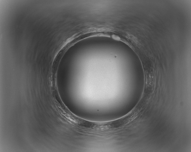 X0000057101165200509121000