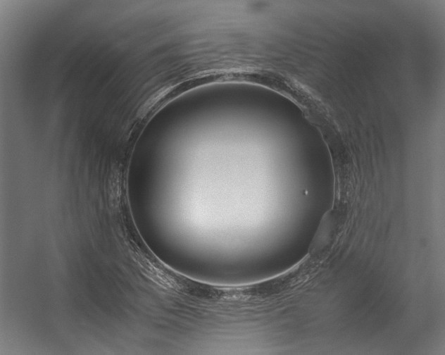 X0000057101169200509121000