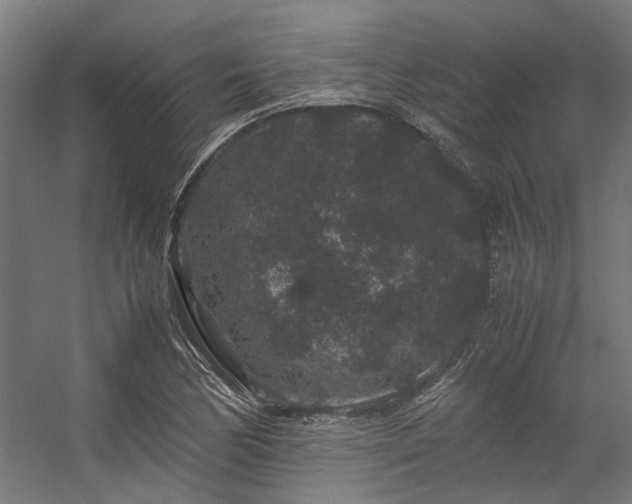 X0000057101170200509121000