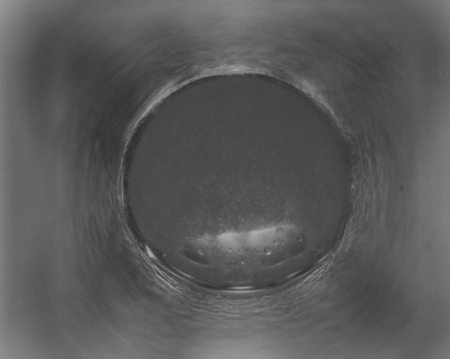 X0000057101173200509121000