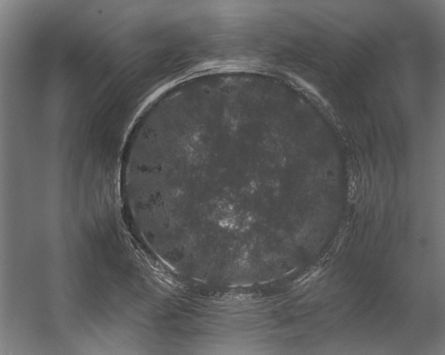 X0000057101174200509121000