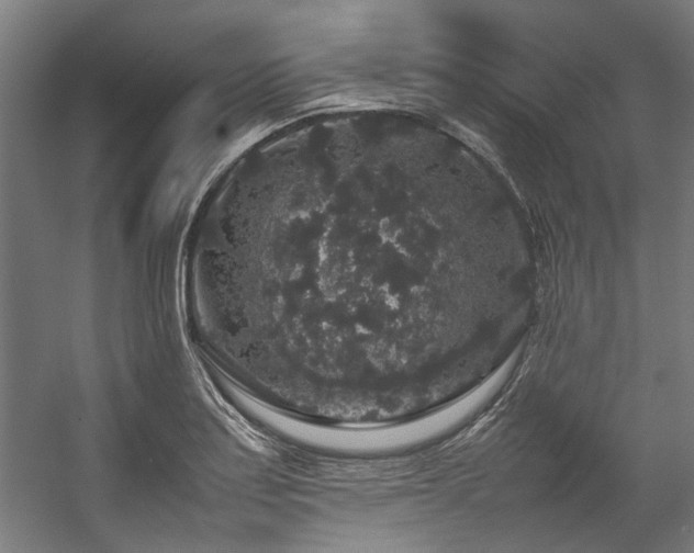 X0000057101179200509121000