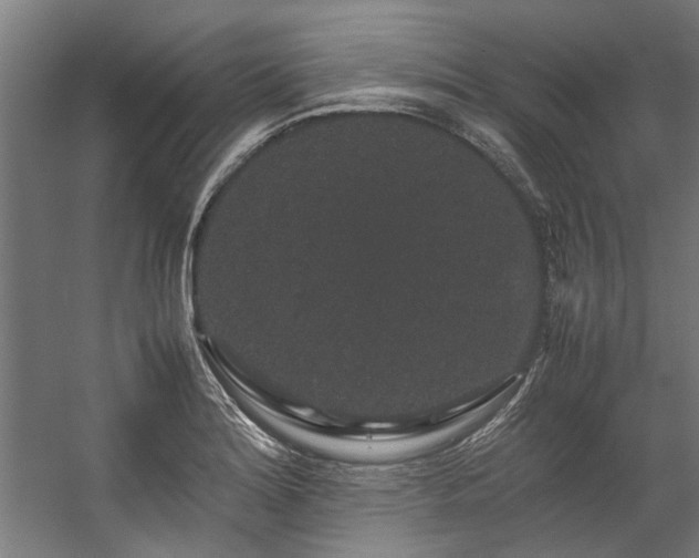 X0000057101180200509121000