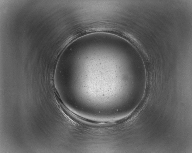 X0000057101185200509121000