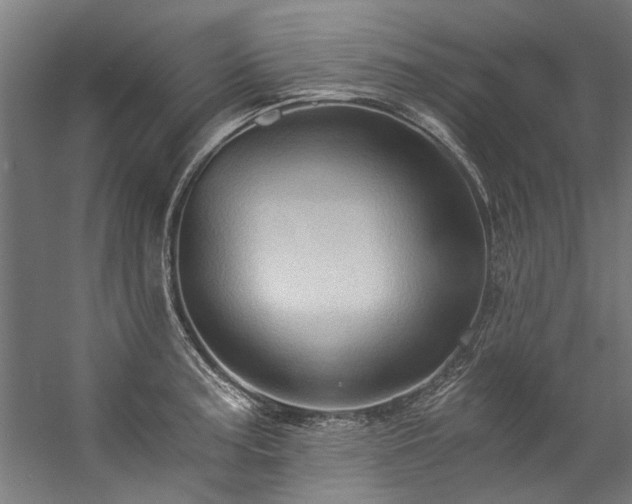 X0000057101187200509121000