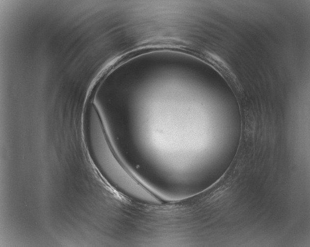 X0000057101188200509121000