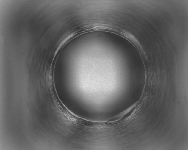 X0000057101190200509121000