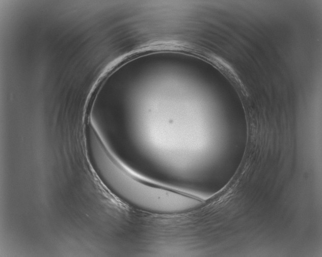 X0000057101192200509121000