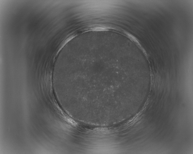 X0000057101194200509121000