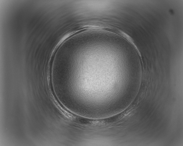 X0000057101195200509121000