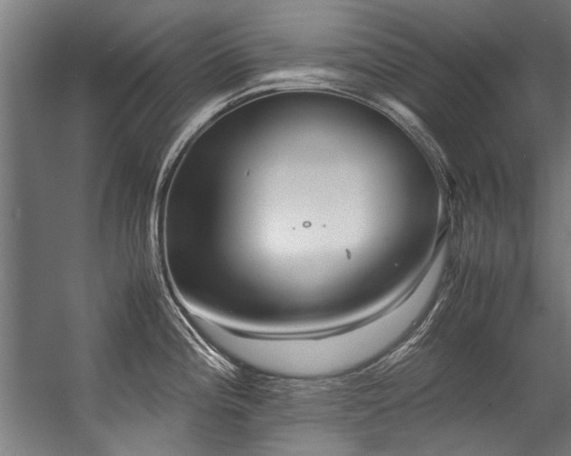 X0000057101196200509121000