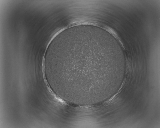 X0000057101198200509121000