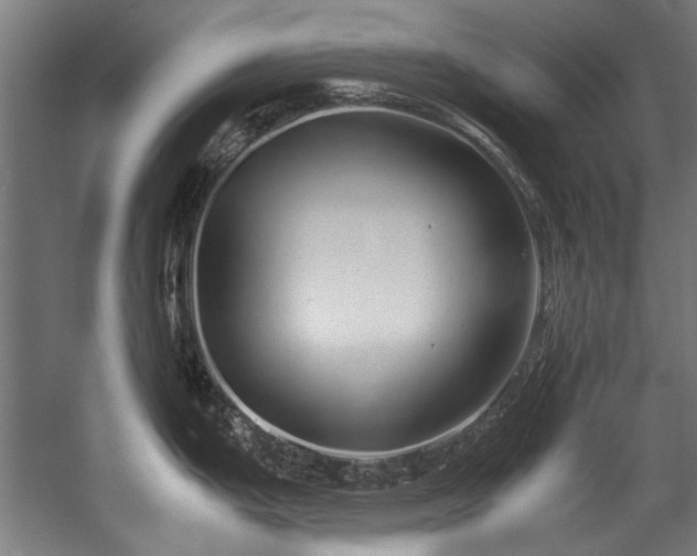 X0000057101199200509121000