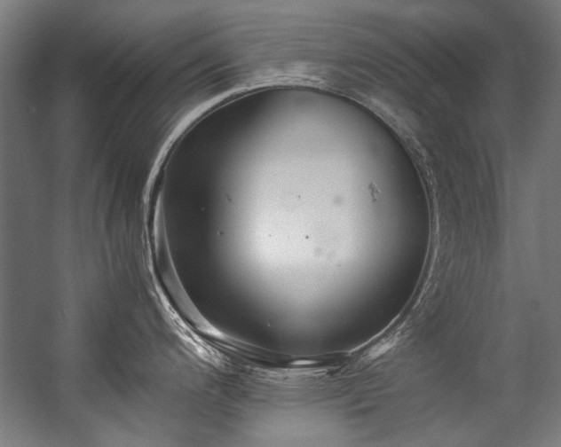 X0000057101200200509121000