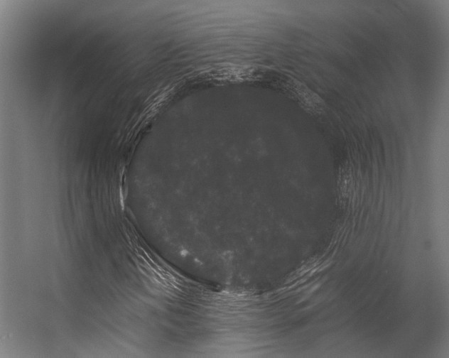 X0000057101202200509120959