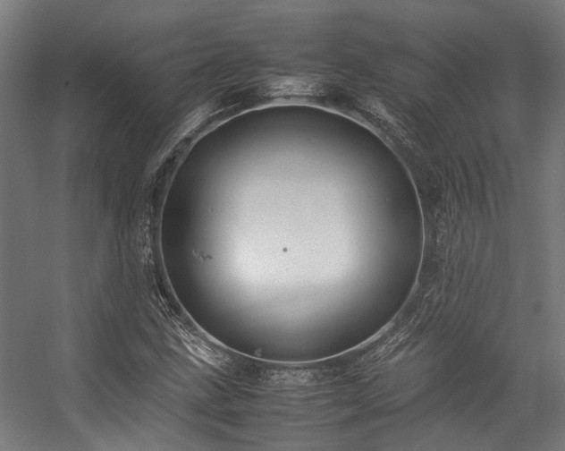 X0000057101211200509120959