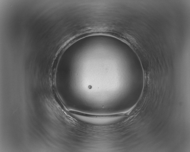 X0000057101212200509120959