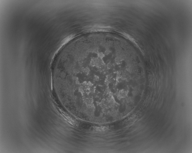 X0000057101219200509120959