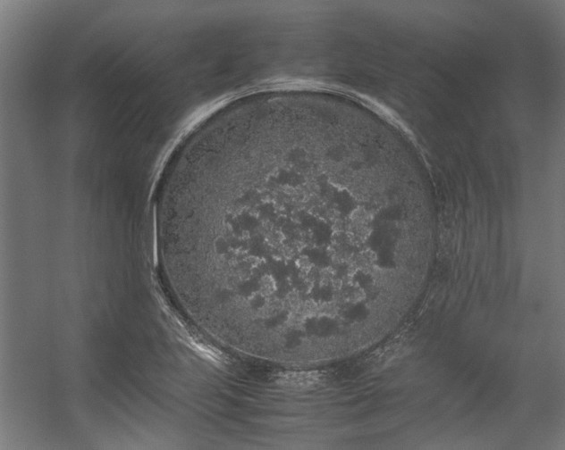 X0000057101223200509120959