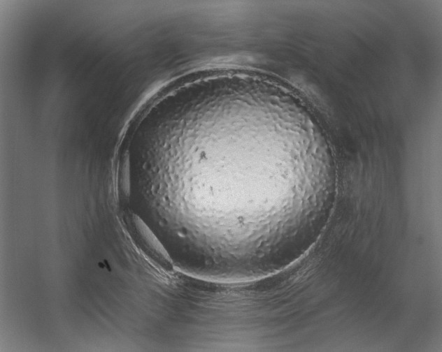 X0000057101224200509120959