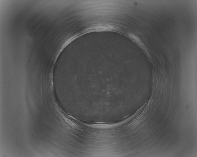 X0000057101226200509120959