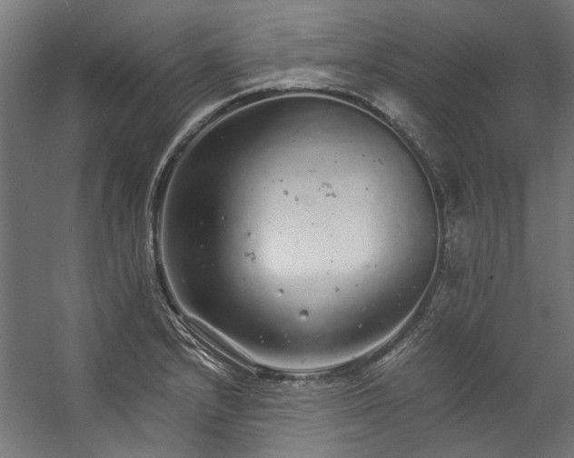 X0000057101232200509120959