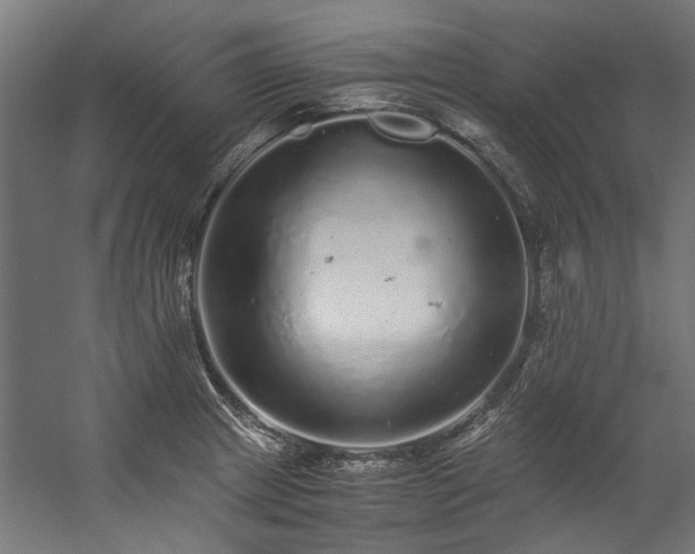 X0000057101233200509120959