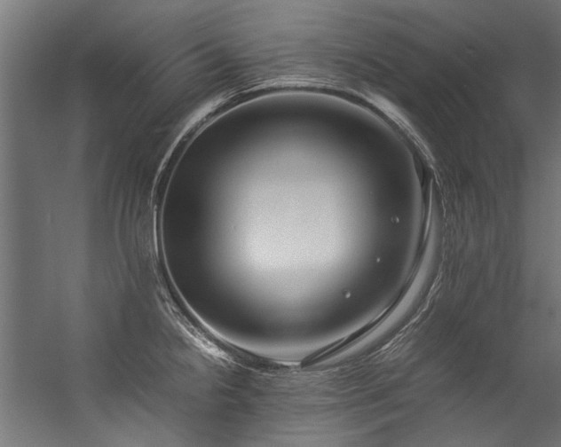 X0000057101238200509120959