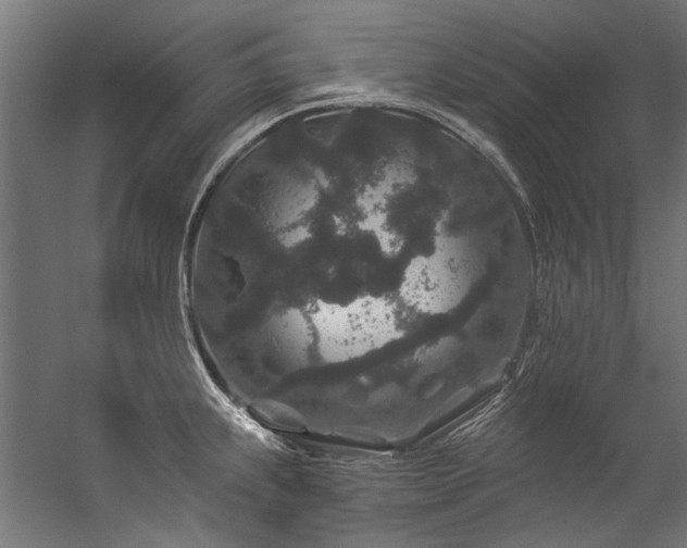 X0000057101239200509120959