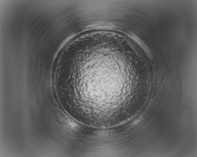 X0000057101240200509121000