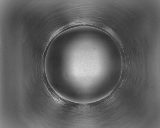 X0000057101242200509121000