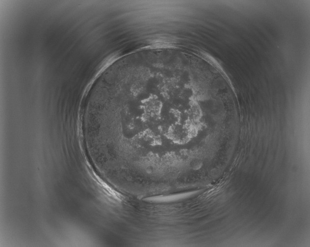 X0000057101243200509121000