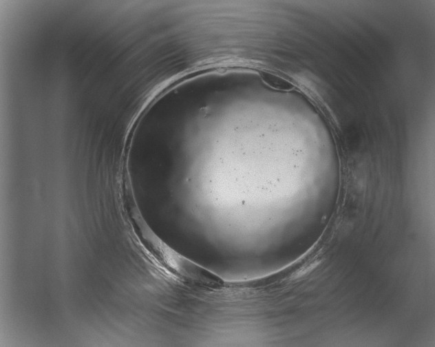 X0000057101244200509121000