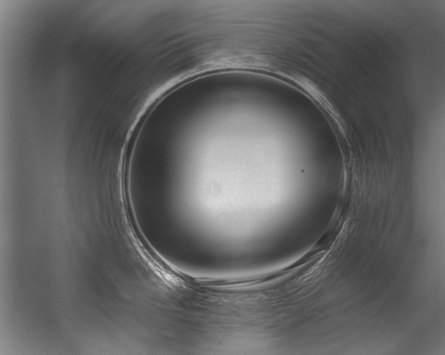 X0000057101246200509121000