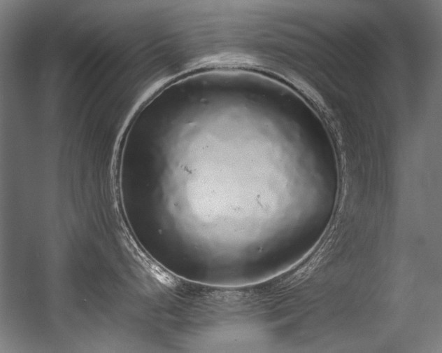 X0000057101248200509121000