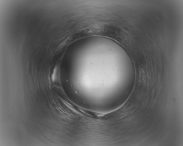 X0000057101250200509120959