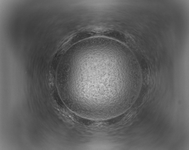 X0000057101253200509120959