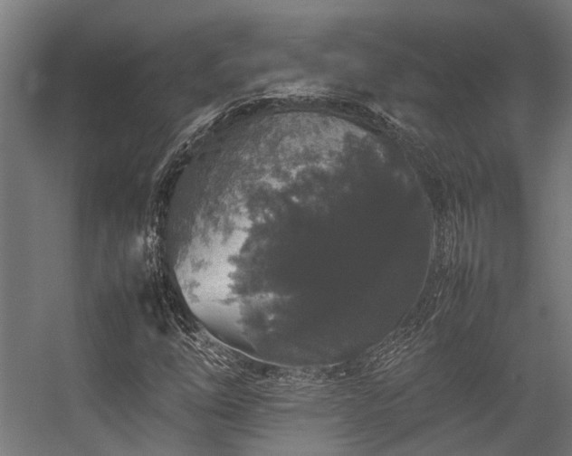 X0000057101254200509120959