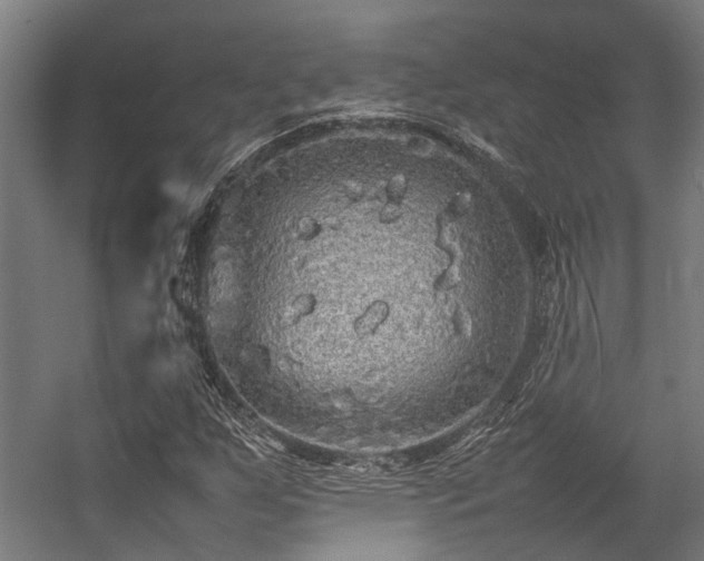 X0000057101255200509120959