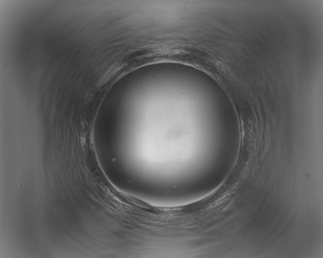 X0000057101257200509120959