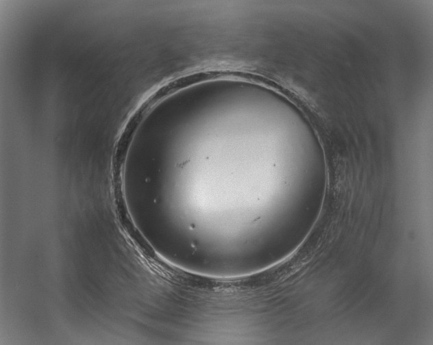 X0000057101264200509120959