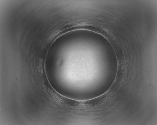 X0000057101265200509120959