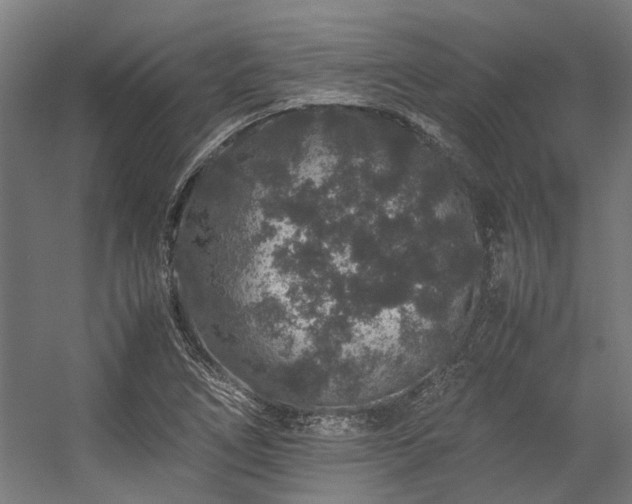 X0000057101266200509120959