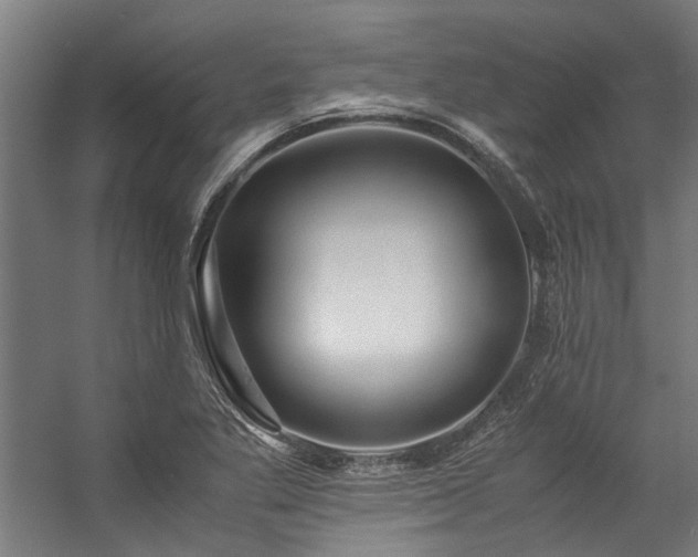 X0000057101269200509120958