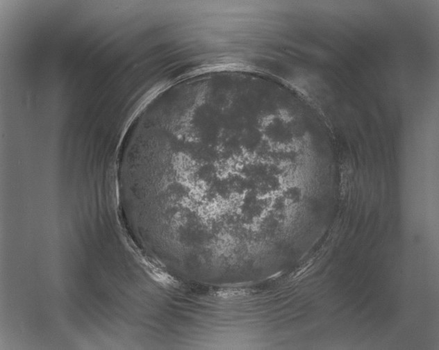 X0000057101274200509120958